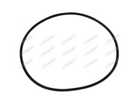 ORING PRIZA PUTERE Landini