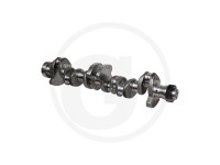 ARBORE MOTOR Renault