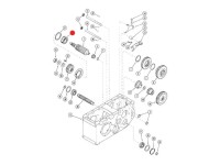 RULMENT TRANSMISIE Fiat