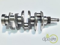 ARBORE MOTOR Fiat