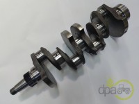ARBORE MOTOR Fiat