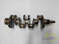 ARBORE MOTOR Fiat