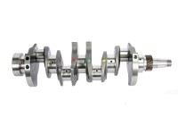 ARBORE MOTOR Fiat