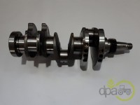 ARBORE MOTOR Fiat