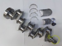 ARBORE MOTOR Landini