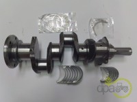 ARBORE MOTOR Landini