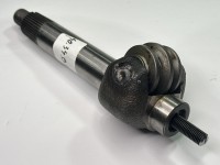 ARBORE PORT ROLA UTB