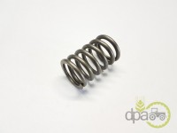 ARC SUPAPA MOTOR Renault