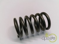 ARC SUPAPA MOTOR Renault