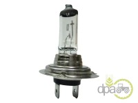 BEC H7 PX26D 24V 70W