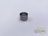 BUCSA PUNTE FATA Steyr