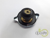 BUSON RADIATOR Massey Ferguson