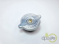 BUSON RADIATOR Massey Ferguson