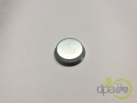 CAPAC RULMENT PIVOT Fiat