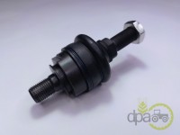 CAPAT DE BARA Lamborghini