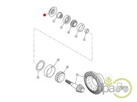 DISTANTIER GRUP CONIC FATA Case IH