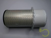 FILTRU AER EXTERIOR Renault