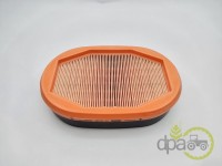 FILTRU AER INTERIOR Massey Ferguson