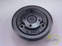 FULIE ARBORE MOTOR Fiat