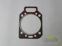 GARNITURA CHIULASA Renault