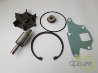 KIT REPARATIE POMPA APA Ford
