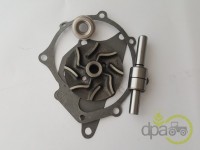 KIT REPARATIE POMPA APA Ford
