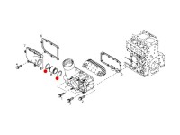 ORING CARCASA TERMOFLOT Lamborghini