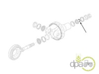 ORING GRUP CONIC Landini