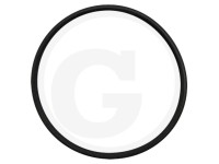 ORING PLANETARA FATA Massey Ferguson