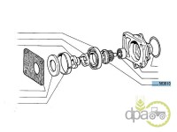 PINION AX POMPA HIDRAULICA Fiat