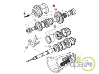 PINION CUTIE VITEZA Massey Ferguson