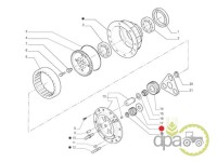 PINION PLANETAR FATA Massey Ferguson