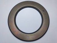 PISTON FRANA Case IH