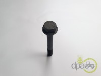 PREZON CHIULASA Landini