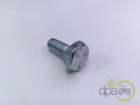 PREZON ROATA FATA David Brown