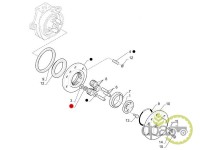 ROLA RULMENT PINION SATELIT FATA (X10) Case IH