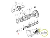 RULMENT AX CUTIE VITEZA Massey Ferguson