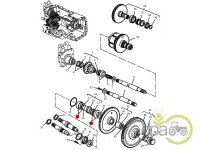 RULMENT AX PRIZA PUTERE Massey Ferguson