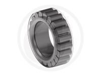 RULMENT PINION SATELIT FATA Case IH