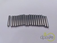 RULMENT PINION SATELIT FATA Fiat