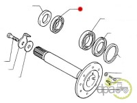 RULMENT ROATA SPATE Case IH