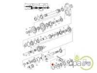 SEGMENT PRIZA PUTERE Case IH