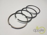 SEGMENTI MOTOR Fendt