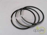 SEGMENTI MOTOR Deutz