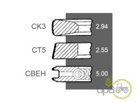 SEGMENTI MOTOR Deutz