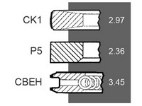 SEGMENTI MOTOR Renault