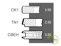 SEGMENTI MOTOR Mc Cormick