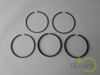 SEGMENTI MOTOR Massey Ferguson