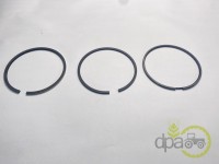 SEGMENTI MOTOR Mc Cormick