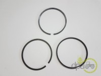 SEGMENTI MOTOR Claas
